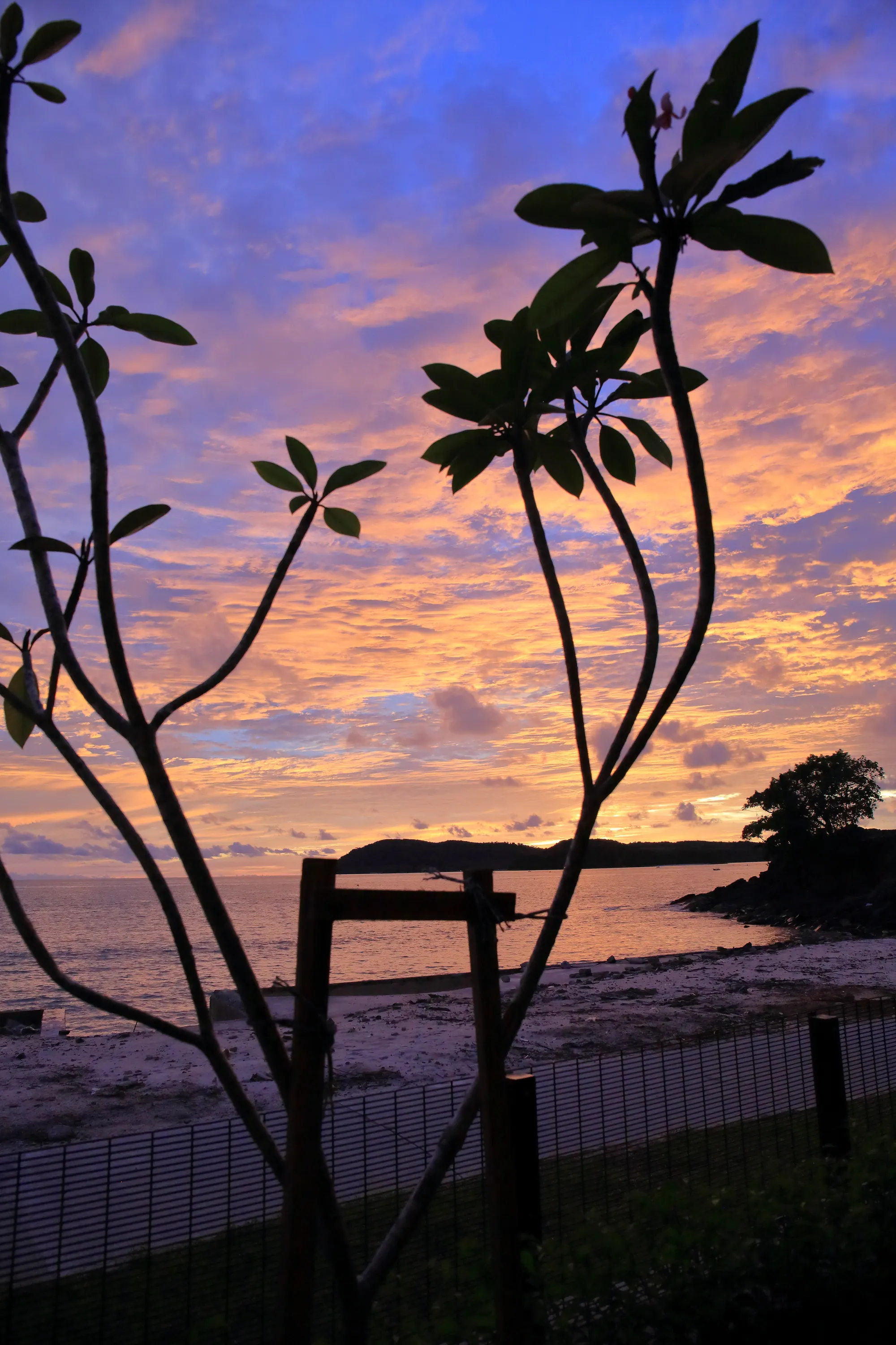 Tropicana Merissa Suite · Sea-View Suite — photo 7